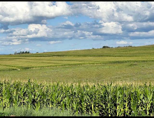 FARM FOR SALE IN BETHLEHEM RURAL